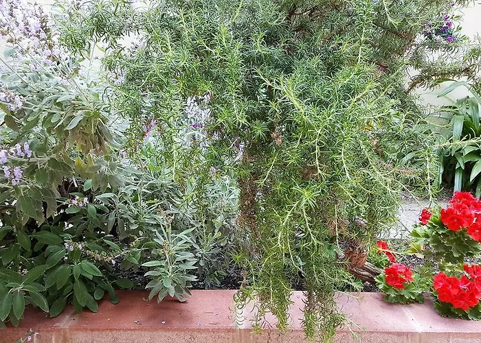 Frühstückspension Il Giardino Del Nespolo